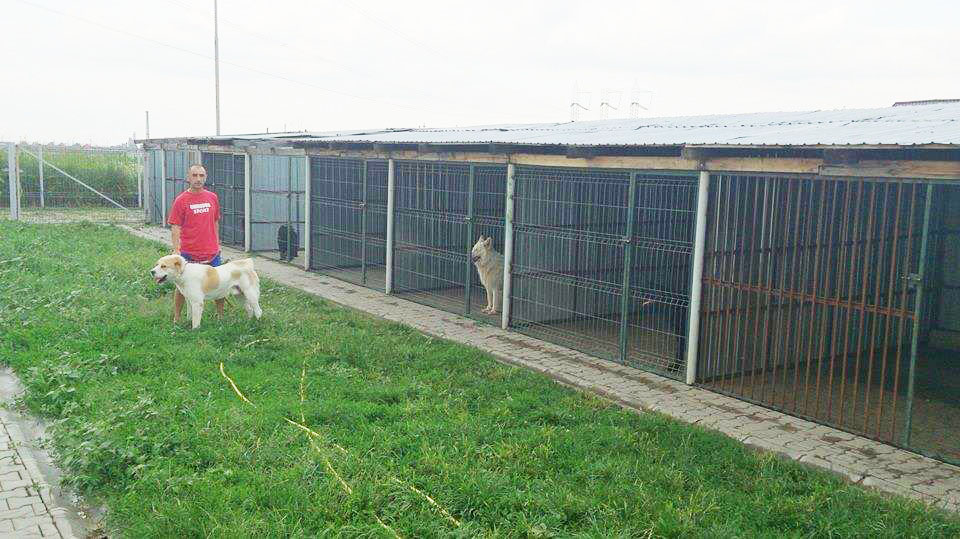 Pensiunea canina Ploiesti